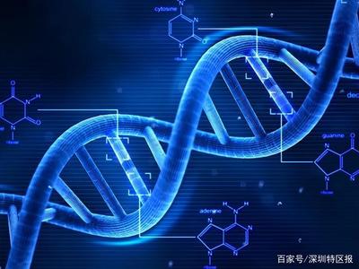 深圳為細(xì)胞和基因產(chǎn)業(yè)立法 劃定創(chuàng)新與倫理紅線，擬明令禁止生殖基因編輯
