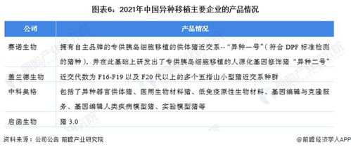 洞察2022 中國異種移植行業(yè)競(jìng)爭(zhēng)格局深度解析——研發(fā)對(duì)比、投融資與業(yè)務(wù)布局盤點(diǎn)